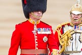 Trooping the Colour 2014.
Horse Guards Parade, Westminster,
London SW1A,

United Kingdom,
on 14 June 2014 at 11:08, image #441