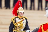 Trooping the Colour 2014.
Horse Guards Parade, Westminster,
London SW1A,

United Kingdom,
on 14 June 2014 at 11:08, image #444