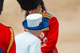 Trooping the Colour 2014.
Horse Guards Parade, Westminster,
London SW1A,

United Kingdom,
on 14 June 2014 at 11:08, image #448