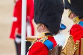 Trooping the Colour 2014.
Horse Guards Parade, Westminster,
London SW1A,

United Kingdom,
on 14 June 2014 at 11:11, image #457