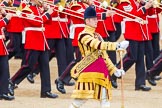 Trooping the Colour 2014.
Horse Guards Parade, Westminster,
London SW1A,

United Kingdom,
on 14 June 2014 at 11:14, image #476