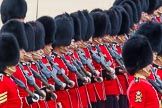 Trooping the Colour 2014.
Horse Guards Parade, Westminster,
London SW1A,

United Kingdom,
on 14 June 2014 at 11:19, image #513