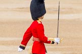 Trooping the Colour 2014.
Horse Guards Parade, Westminster,
London SW1A,

United Kingdom,
on 14 June 2014 at 11:19, image #514
