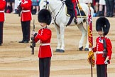 Trooping the Colour 2014.
Horse Guards Parade, Westminster,
London SW1A,

United Kingdom,
on 14 June 2014 at 11:20, image #519