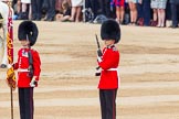 Trooping the Colour 2014.
Horse Guards Parade, Westminster,
London SW1A,

United Kingdom,
on 14 June 2014 at 11:20, image #520