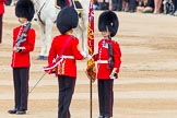 Trooping the Colour 2014.
Horse Guards Parade, Westminster,
London SW1A,

United Kingdom,
on 14 June 2014 at 11:21, image #524