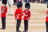 Trooping the Colour 2014.
Horse Guards Parade, Westminster,
London SW1A,

United Kingdom,
on 14 June 2014 at 11:21, image #527