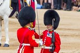 Trooping the Colour 2014.
Horse Guards Parade, Westminster,
London SW1A,

United Kingdom,
on 14 June 2014 at 11:21, image #528