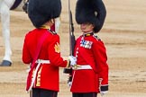 Trooping the Colour 2014.
Horse Guards Parade, Westminster,
London SW1A,

United Kingdom,
on 14 June 2014 at 11:21, image #531