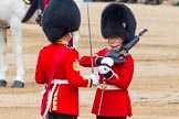 Trooping the Colour 2014.
Horse Guards Parade, Westminster,
London SW1A,

United Kingdom,
on 14 June 2014 at 11:21, image #532