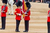 Trooping the Colour 2014.
Horse Guards Parade, Westminster,
London SW1A,

United Kingdom,
on 14 June 2014 at 11:21, image #533