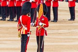 Trooping the Colour 2014.
Horse Guards Parade, Westminster,
London SW1A,

United Kingdom,
on 14 June 2014 at 11:21, image #539