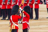 Trooping the Colour 2014.
Horse Guards Parade, Westminster,
London SW1A,

United Kingdom,
on 14 June 2014 at 11:21, image #541