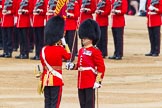 Trooping the Colour 2014.
Horse Guards Parade, Westminster,
London SW1A,

United Kingdom,
on 14 June 2014 at 11:22, image #542