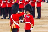 Trooping the Colour 2014.
Horse Guards Parade, Westminster,
London SW1A,

United Kingdom,
on 14 June 2014 at 11:22, image #543