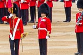 Trooping the Colour 2014.
Horse Guards Parade, Westminster,
London SW1A,

United Kingdom,
on 14 June 2014 at 11:22, image #544