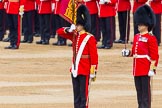 Trooping the Colour 2014.
Horse Guards Parade, Westminster,
London SW1A,

United Kingdom,
on 14 June 2014 at 11:22, image #545
