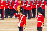 Trooping the Colour 2014.
Horse Guards Parade, Westminster,
London SW1A,

United Kingdom,
on 14 June 2014 at 11:22, image #547