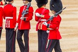 Trooping the Colour 2014.
Horse Guards Parade, Westminster,
London SW1A,

United Kingdom,
on 14 June 2014 at 11:23, image #548