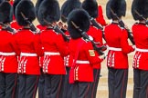 Trooping the Colour 2014.
Horse Guards Parade, Westminster,
London SW1A,

United Kingdom,
on 14 June 2014 at 11:23, image #550