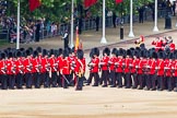 Trooping the Colour 2014.
Horse Guards Parade, Westminster,
London SW1A,

United Kingdom,
on 14 June 2014 at 11:26, image #564