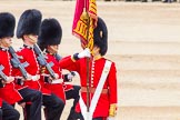 Trooping the Colour 2014.
Horse Guards Parade, Westminster,
London SW1A,

United Kingdom,
on 14 June 2014 at 11:36, image #616