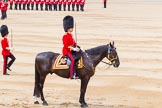 Trooping the Colour 2014.
Horse Guards Parade, Westminster,
London SW1A,

United Kingdom,
on 14 June 2014 at 11:36, image #622