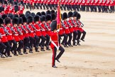 Trooping the Colour 2014.
Horse Guards Parade, Westminster,
London SW1A,

United Kingdom,
on 14 June 2014 at 11:36, image #623