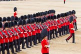 Trooping the Colour 2014.
Horse Guards Parade, Westminster,
London SW1A,

United Kingdom,
on 14 June 2014 at 11:38, image #640