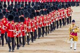 Trooping the Colour 2014.
Horse Guards Parade, Westminster,
London SW1A,

United Kingdom,
on 14 June 2014 at 11:53, image #720