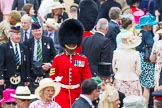 Trooping the Colour 2014.
Horse Guards Parade, Westminster,
London SW1A,

United Kingdom,
on 14 June 2014 at 12:22, image #945