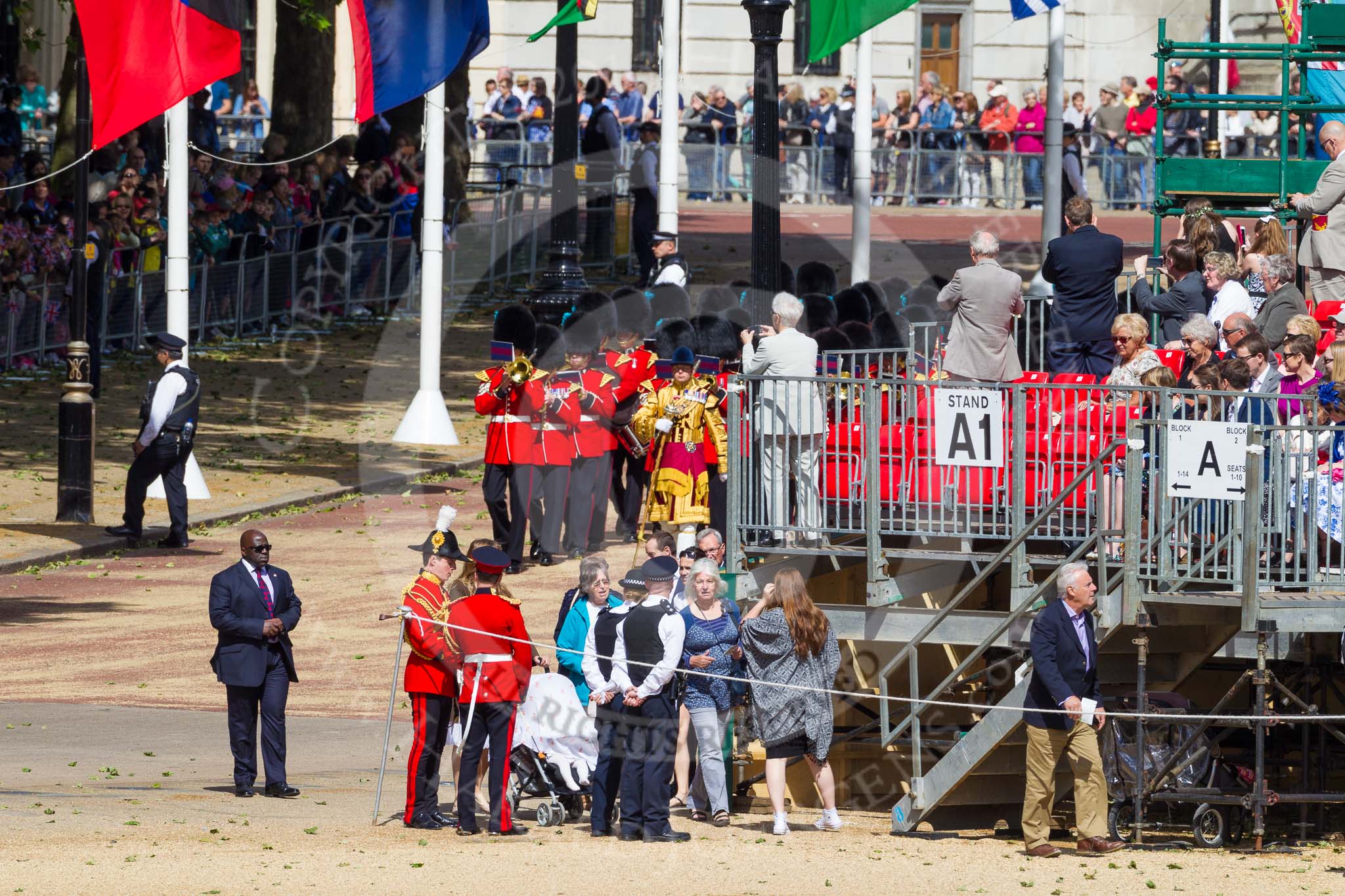 The Colonel's Review 2015.
Horse Guards Parade, Westminster,
London,

United Kingdom,
on 06 June 2015 at 10:12, image #25