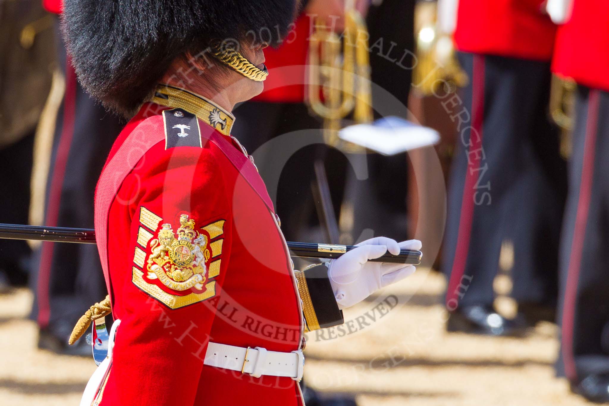 The Colonel's Review 2015.
Horse Guards Parade, Westminster,
London,

United Kingdom,
on 06 June 2015 at 10:20, image #49