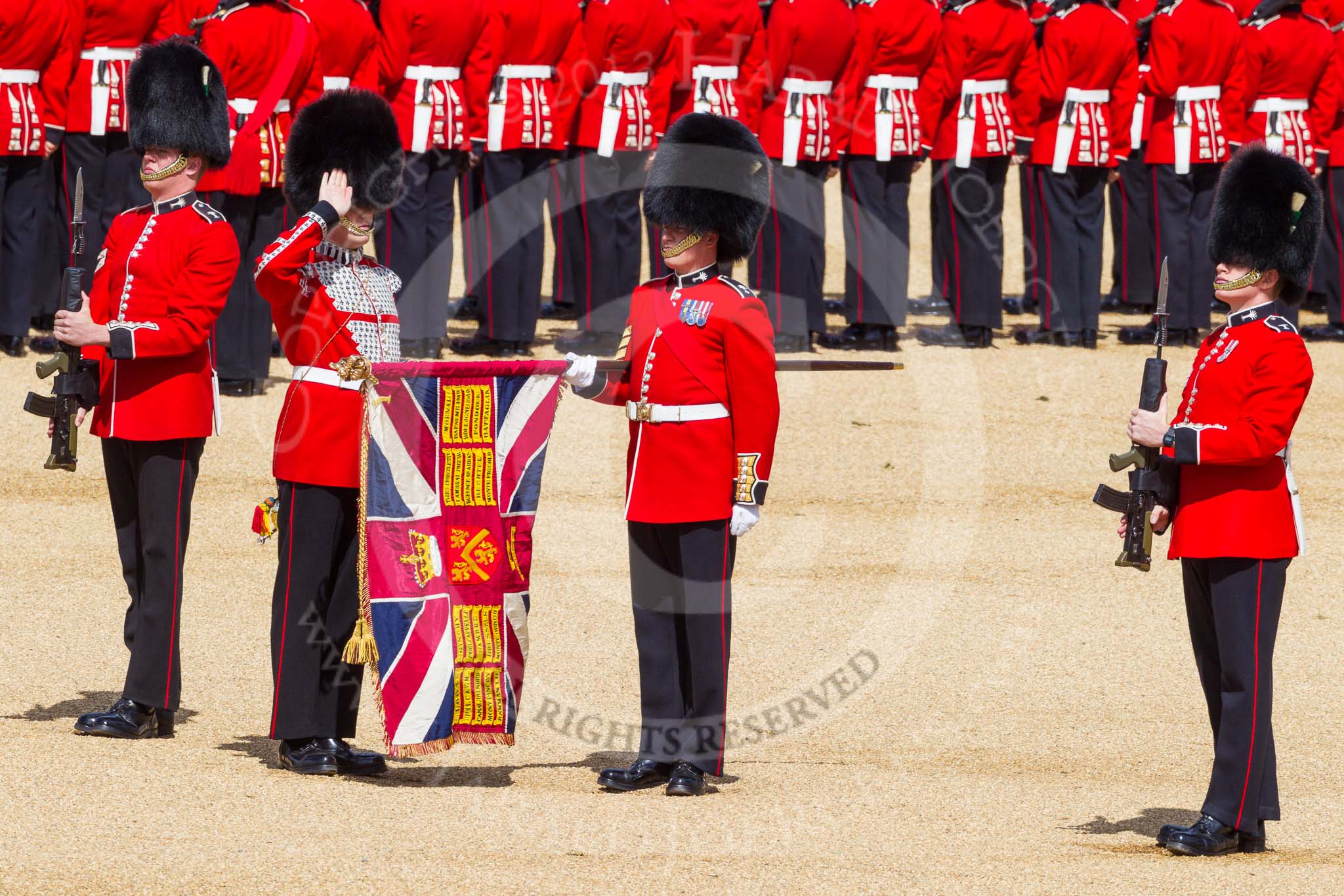 The Colonel's Review 2015.
Horse Guards Parade, Westminster,
London,

United Kingdom,
on 06 June 2015 at 10:35, image #106