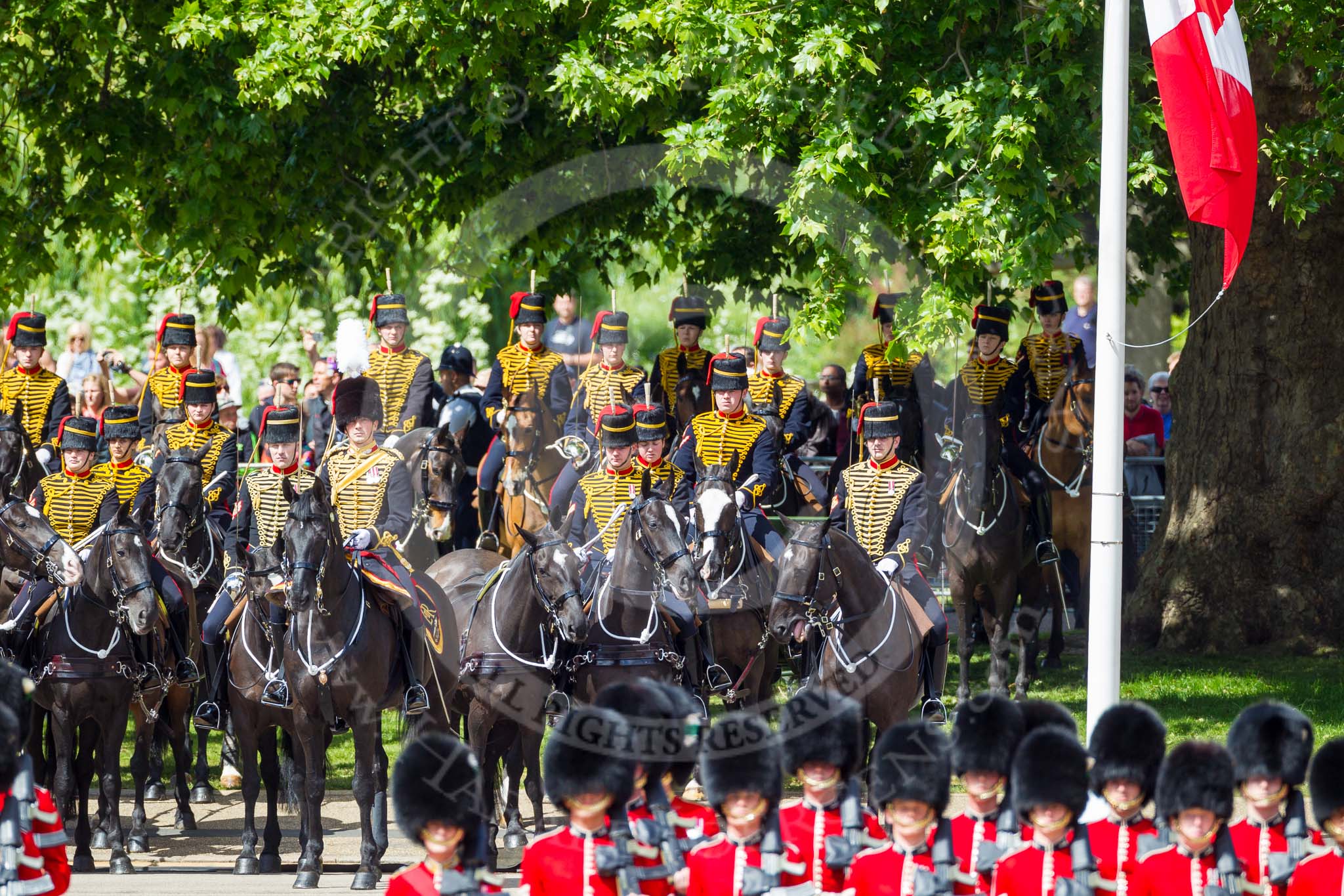The Colonel's Review 2015.
Horse Guards Parade, Westminster,
London,

United Kingdom,
on 06 June 2015 at 10:38, image #123