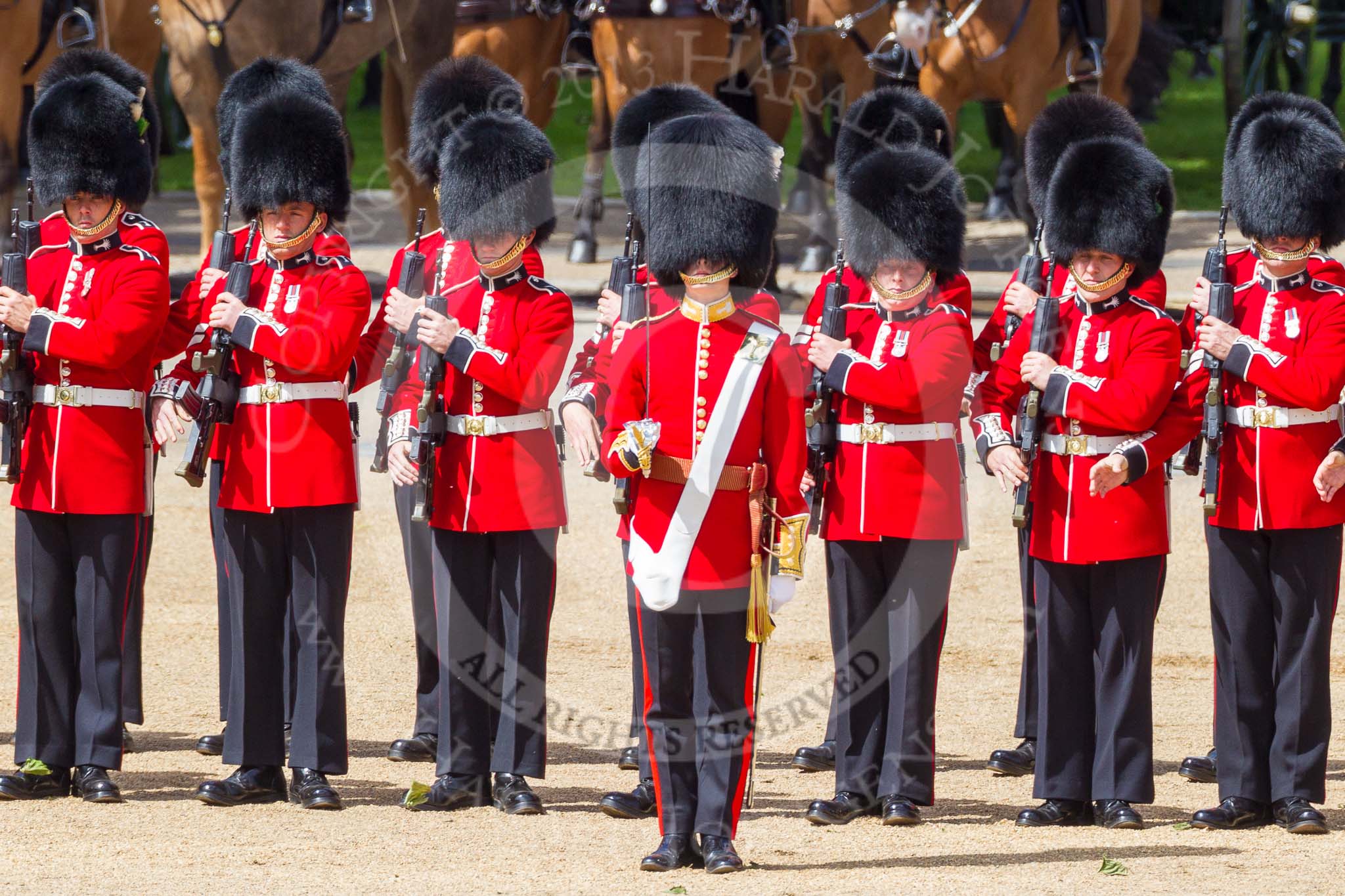 The Colonel's Review 2015.
Horse Guards Parade, Westminster,
London,

United Kingdom,
on 06 June 2015 at 10:42, image #132