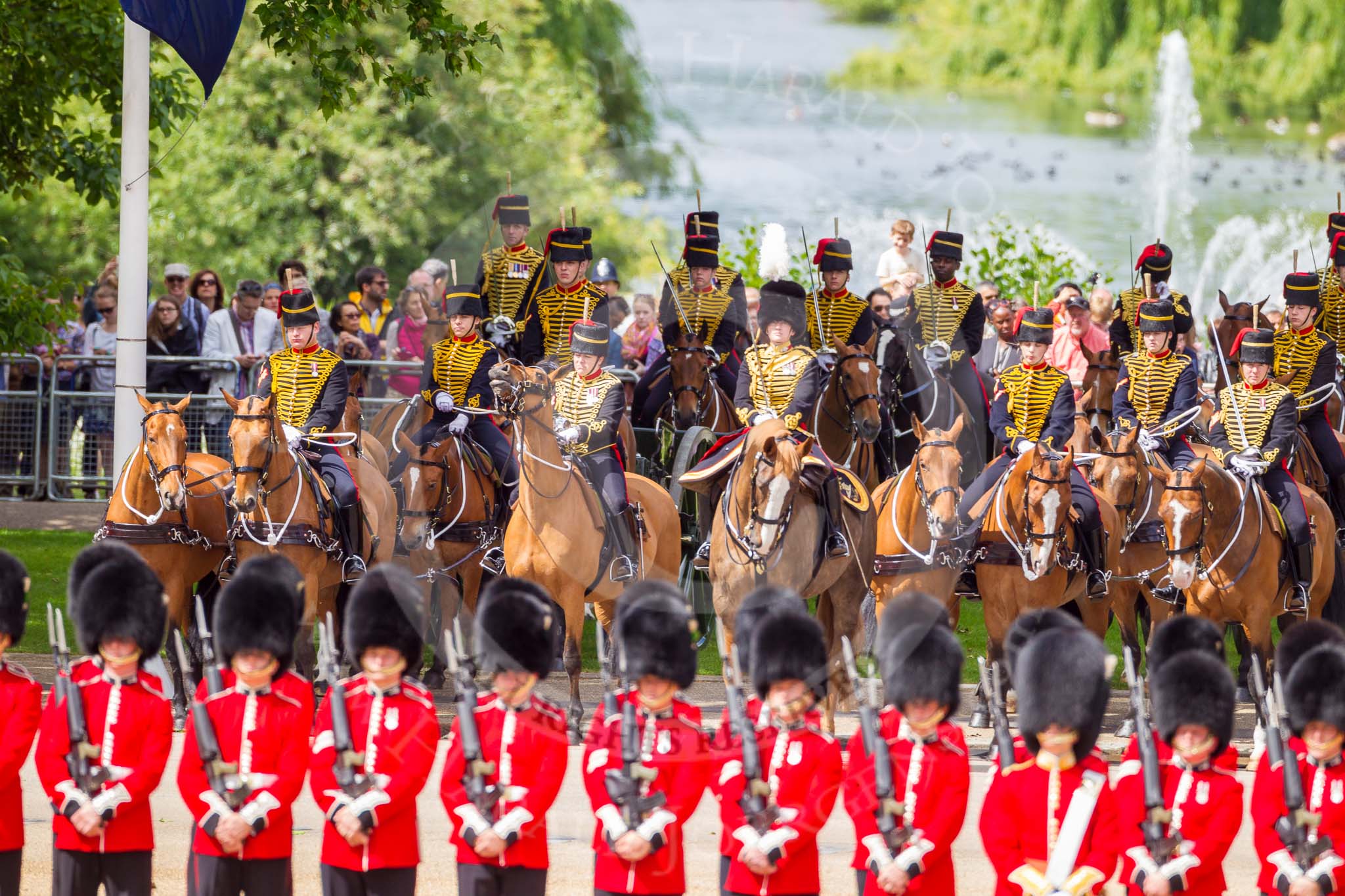 The Colonel's Review 2015.
Horse Guards Parade, Westminster,
London,

United Kingdom,
on 06 June 2015 at 10:48, image #141