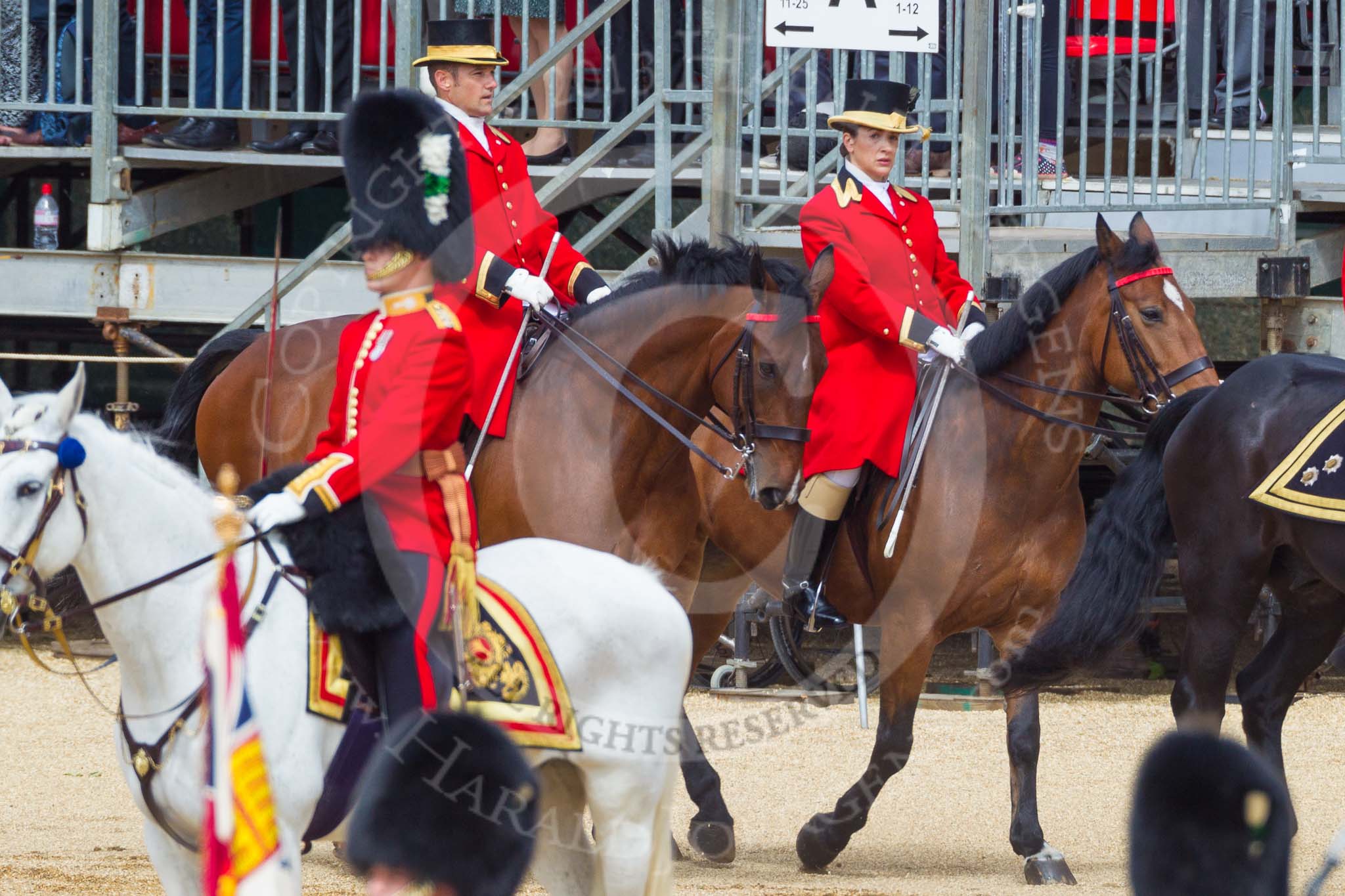 The Colonel's Review 2015.
Horse Guards Parade, Westminster,
London,

United Kingdom,
on 06 June 2015 at 10:59, image #185