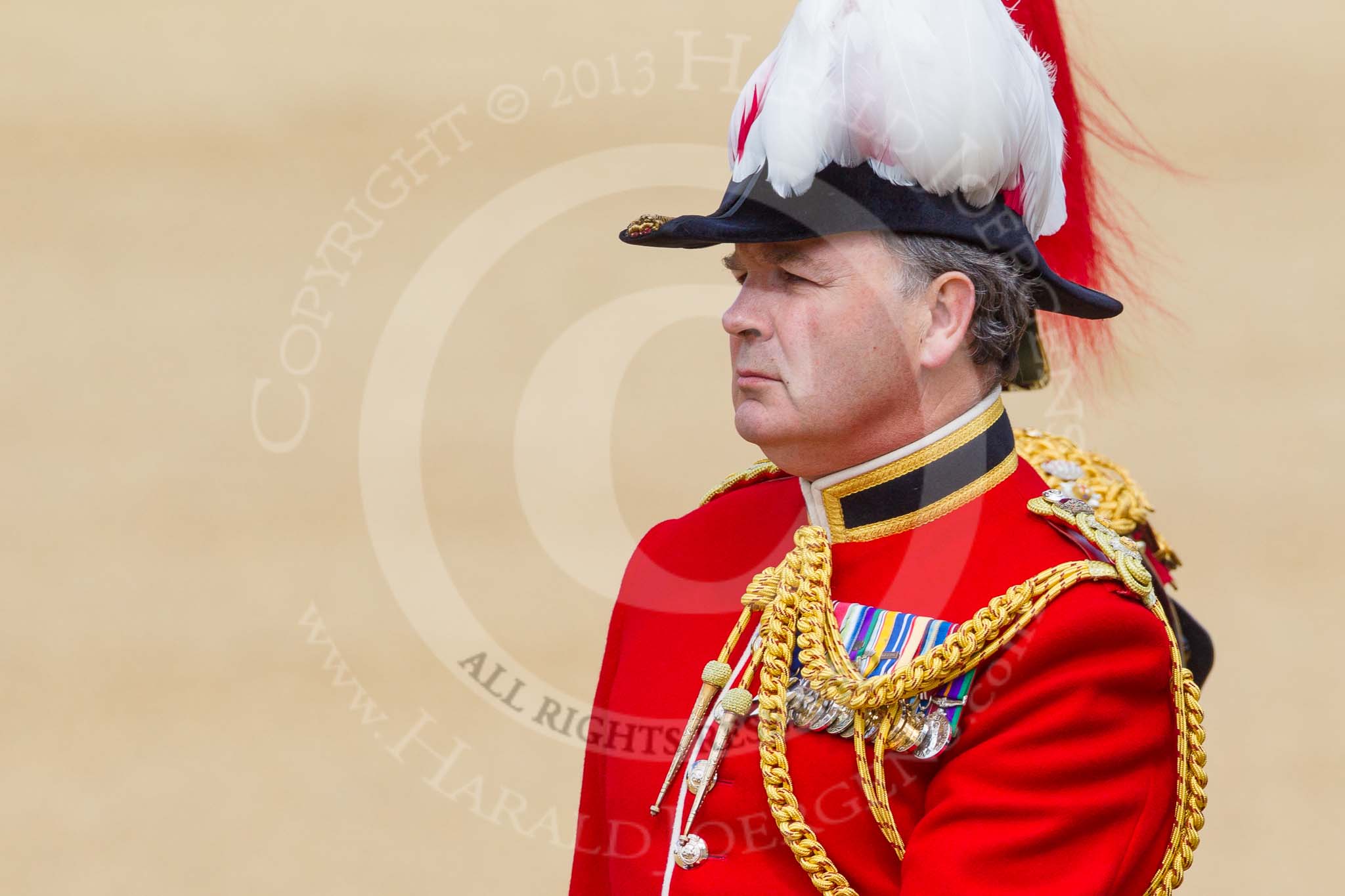 The Colonel's Review 2015.
Horse Guards Parade, Westminster,
London,

United Kingdom,
on 06 June 2015 at 11:01, image #203