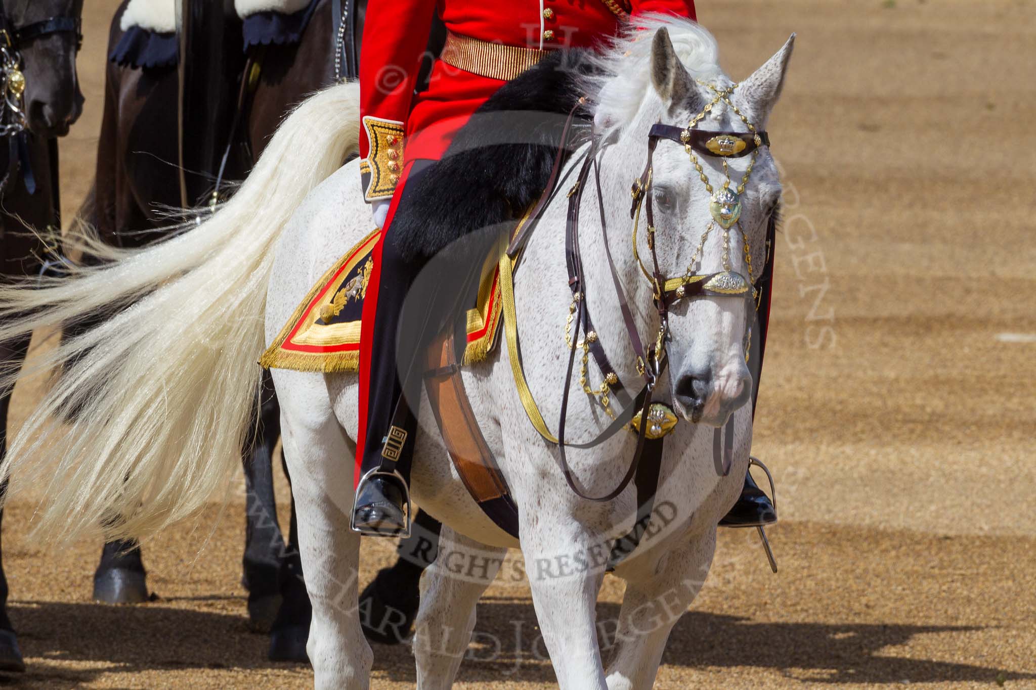 The Colonel's Review 2015.
Horse Guards Parade, Westminster,
London,

United Kingdom,
on 06 June 2015 at 11:04, image #226