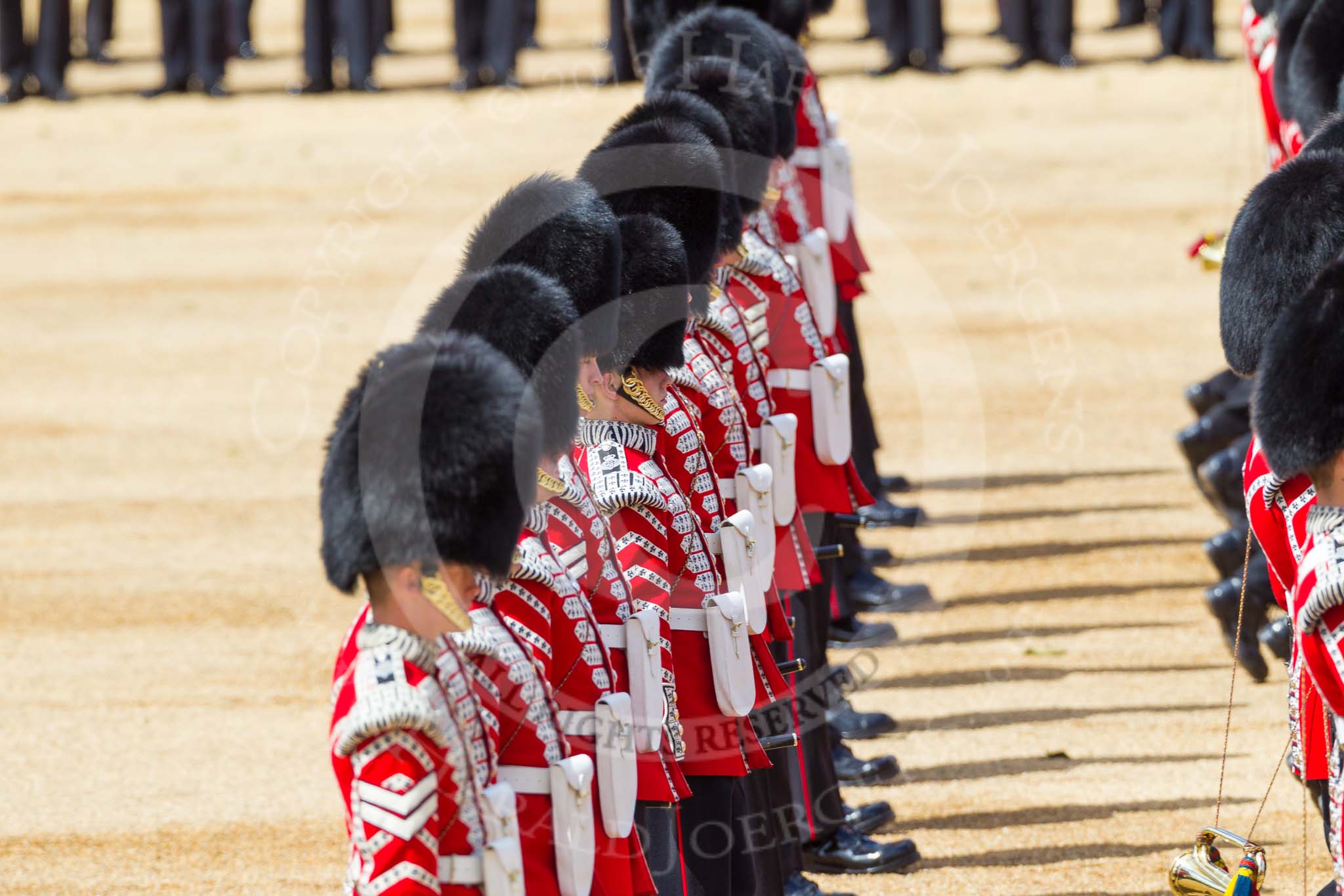 The Colonel's Review 2015.
Horse Guards Parade, Westminster,
London,

United Kingdom,
on 06 June 2015 at 11:08, image #262