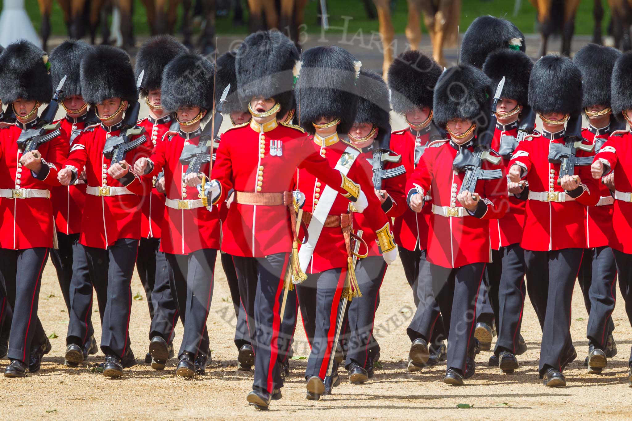 The Colonel's Review 2015.
Horse Guards Parade, Westminster,
London,

United Kingdom,
on 06 June 2015 at 11:16, image #290