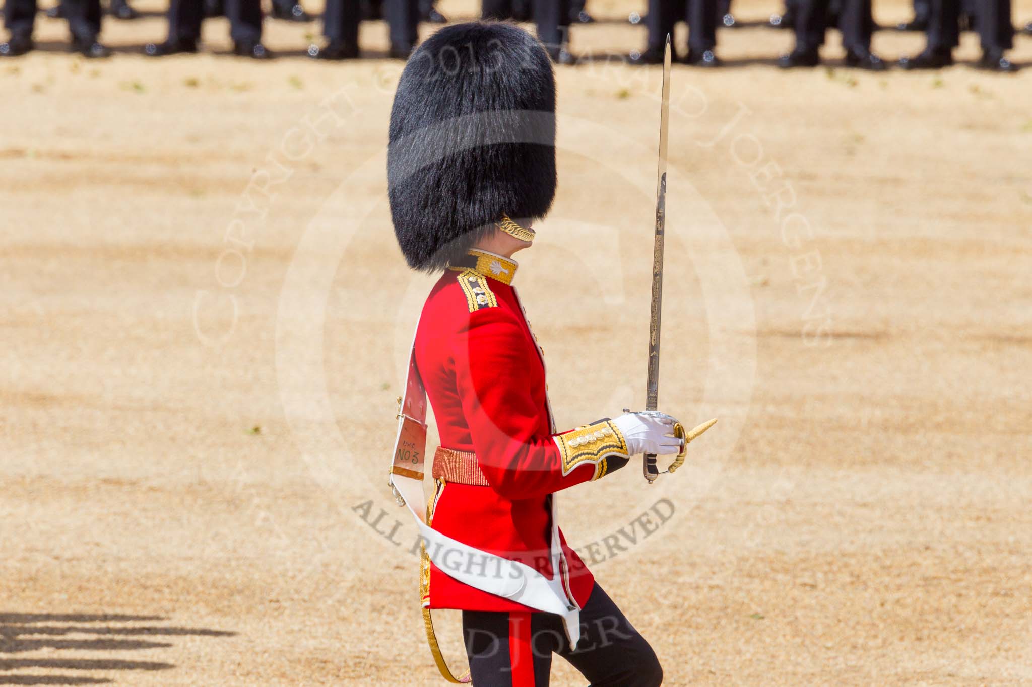 The Colonel's Review 2015.
Horse Guards Parade, Westminster,
London,

United Kingdom,
on 06 June 2015 at 11:16, image #295