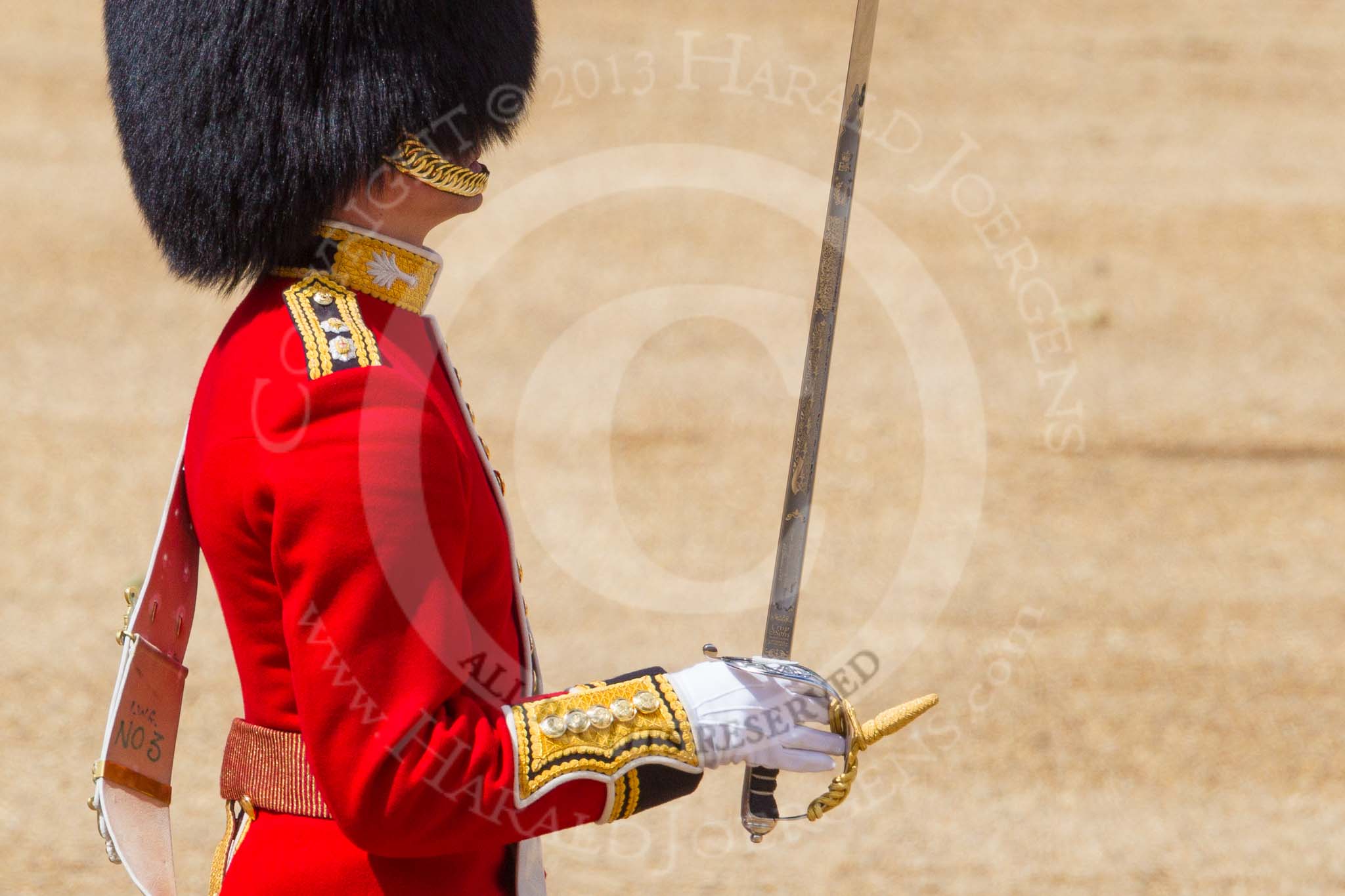 The Colonel's Review 2015.
Horse Guards Parade, Westminster,
London,

United Kingdom,
on 06 June 2015 at 11:17, image #296
