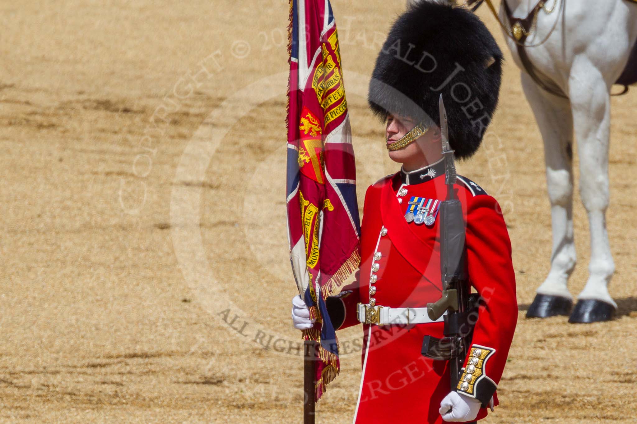 The Colonel's Review 2015.
Horse Guards Parade, Westminster,
London,

United Kingdom,
on 06 June 2015 at 11:18, image #302