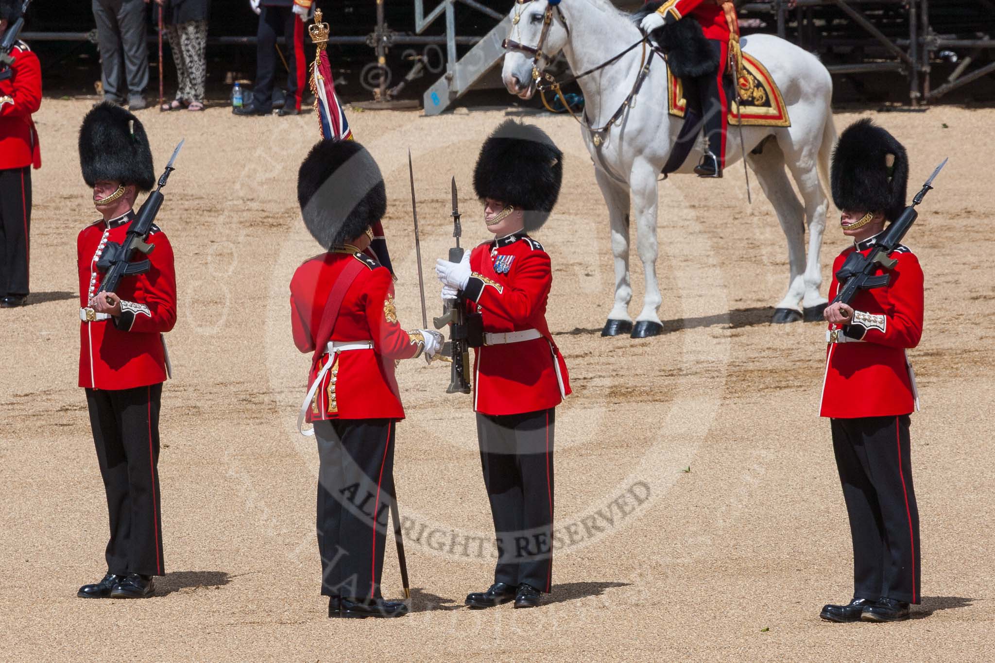 The Colonel's Review 2015.
Horse Guards Parade, Westminster,
London,

United Kingdom,
on 06 June 2015 at 11:19, image #308