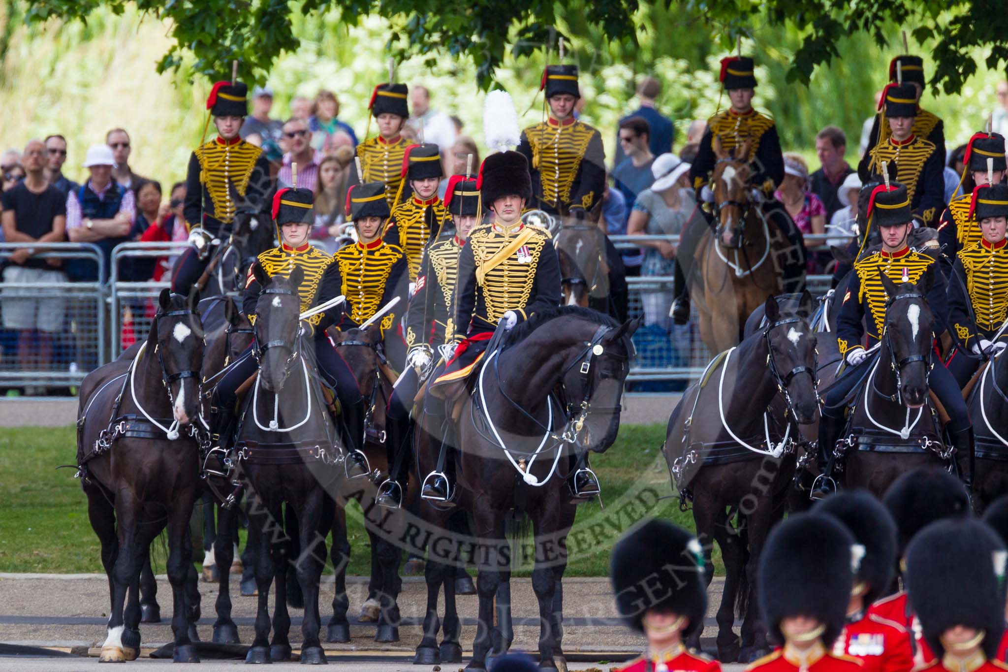 The Colonel's Review 2015.
Horse Guards Parade, Westminster,
London,

United Kingdom,
on 06 June 2015 at 11:24, image #325