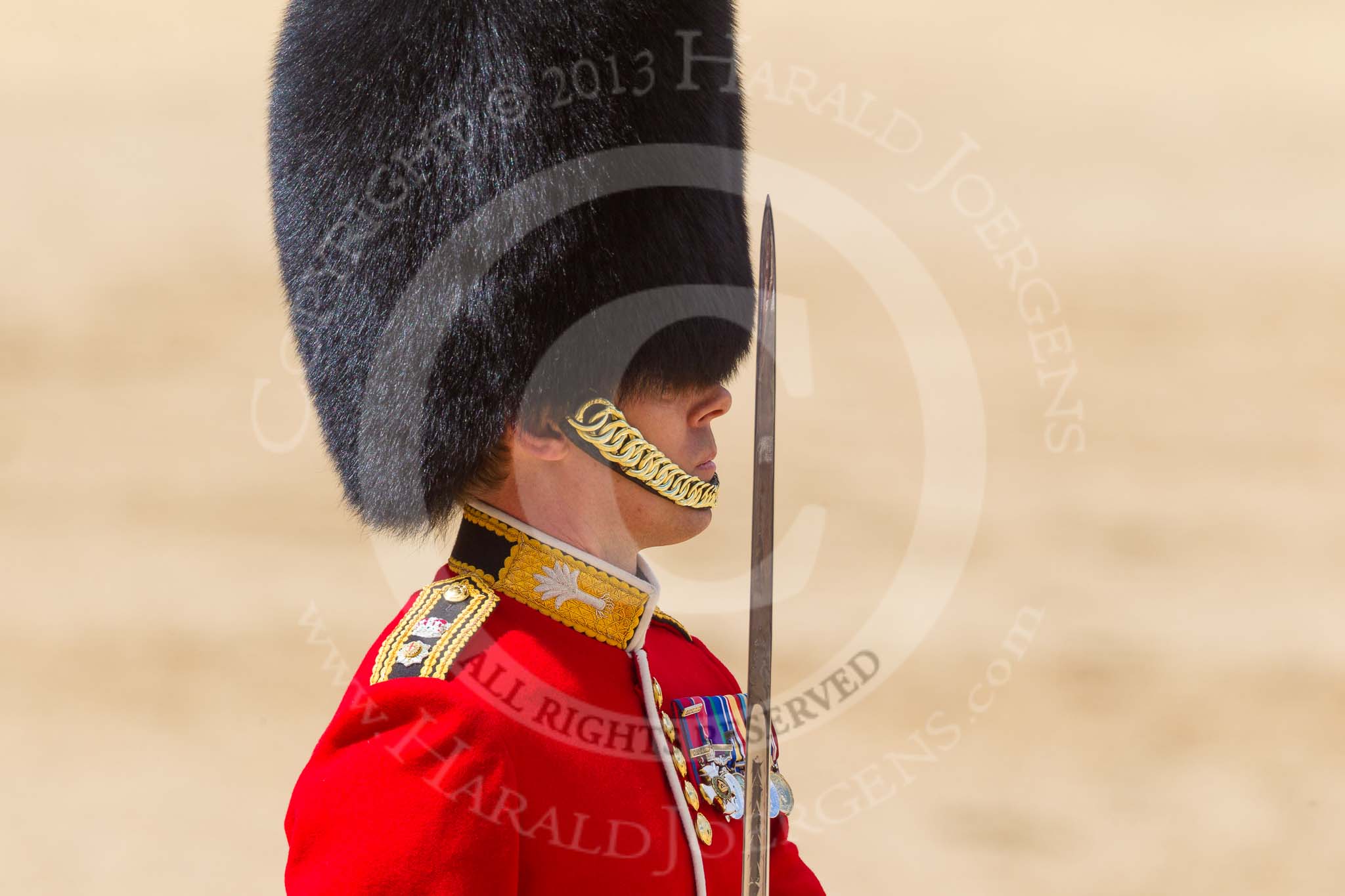 The Colonel's Review 2015.
Horse Guards Parade, Westminster,
London,

United Kingdom,
on 06 June 2015 at 11:32, image #366