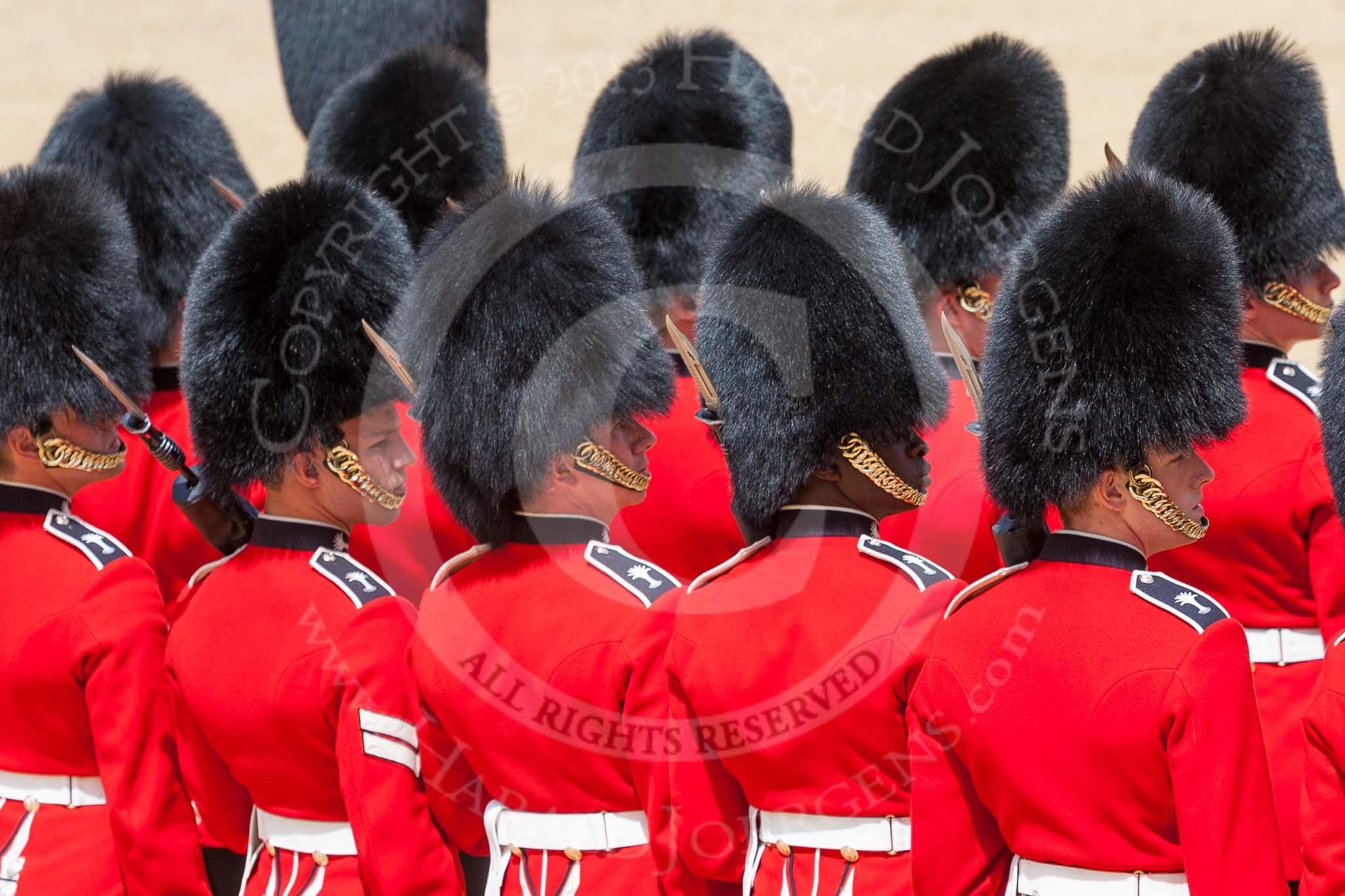 The Colonel's Review 2015.
Horse Guards Parade, Westminster,
London,

United Kingdom,
on 06 June 2015 at 11:35, image #383