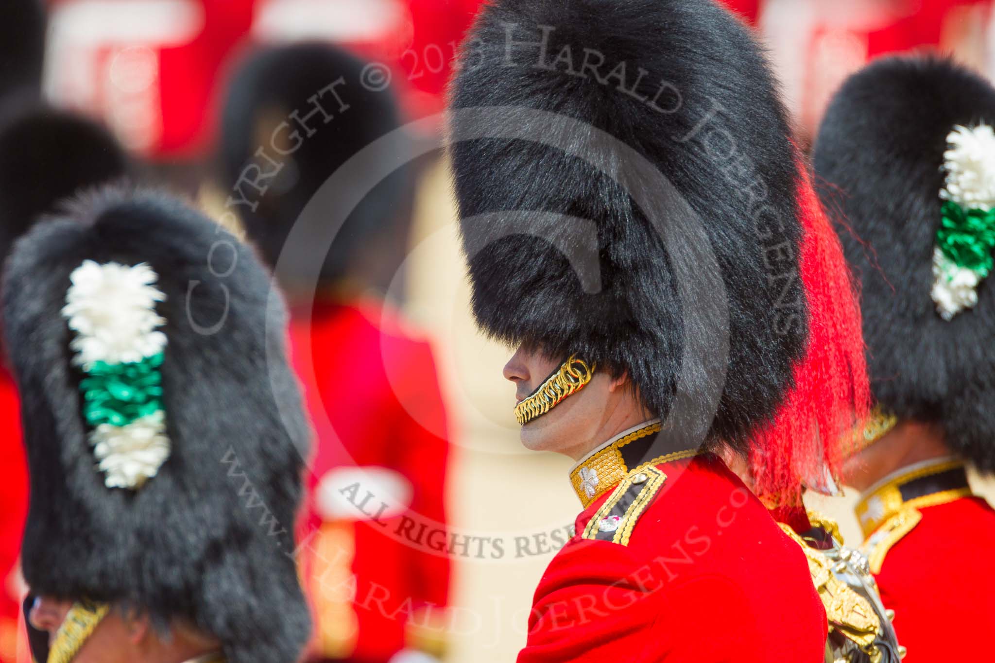 The Colonel's Review 2015.
Horse Guards Parade, Westminster,
London,

United Kingdom,
on 06 June 2015 at 11:37, image #397